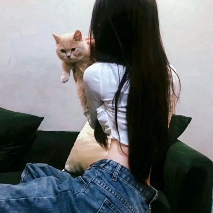 灵书妙探第三季 在线观看