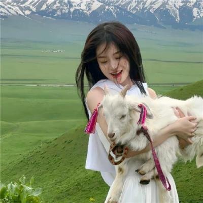 曲象丛生 在线观看